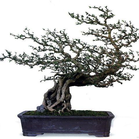 掌握节奏，制胜节奏大师高分通关攻略