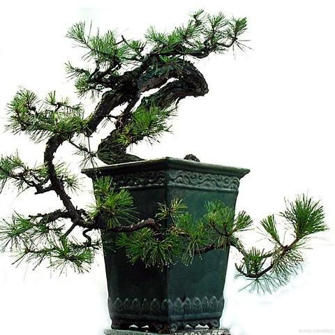 掌握节奏，轻松通关节奏大师高难度关卡攻略