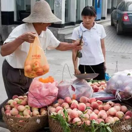 兰州市批发水果在哪里