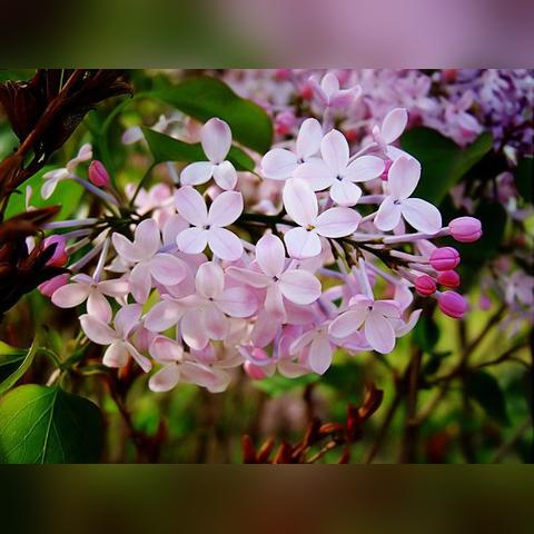 哈尔滨卖咖喱粉相关长尾关键词有哪些