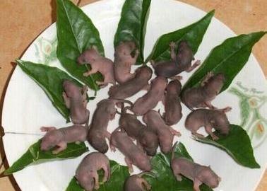 广东有什么美食（各地都有哪些传统美食呢）
