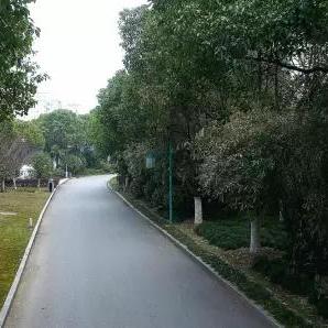 无锡市魅力徒步群在哪里