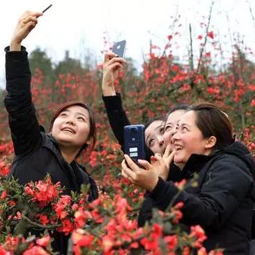 2025.12.16成都今日气温变化情况