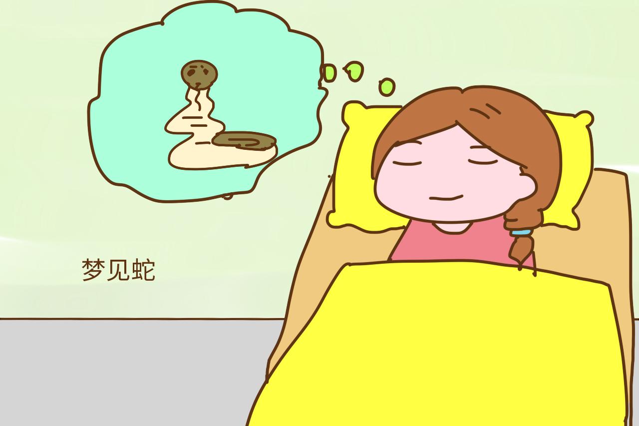 梦到蛇是不是怀孕的预兆，解析梦境中的神秘信号
