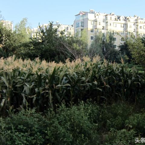 哈尔滨海富康城怎么样相关长尾关键词有哪些