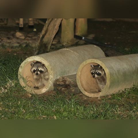 南宁动物园游览路线的相关长尾关键词有哪些