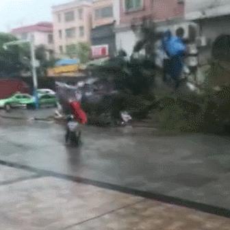 天鸽台风对南宁的相关长尾关键词有哪些