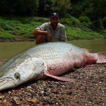 济南南部山区特产相关长尾关键词有哪些