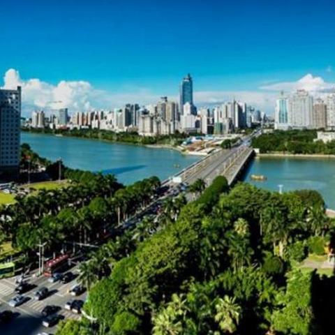 南宁大山里的树林的相关长尾关键词有哪些