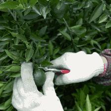 东莞市哪里有加气站出租