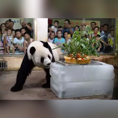 武汉哪有买游戏的？我要去实体店。求告知？