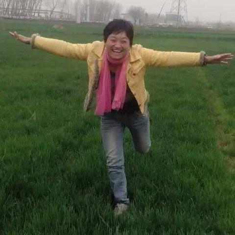 保定市有哪些车险店名字