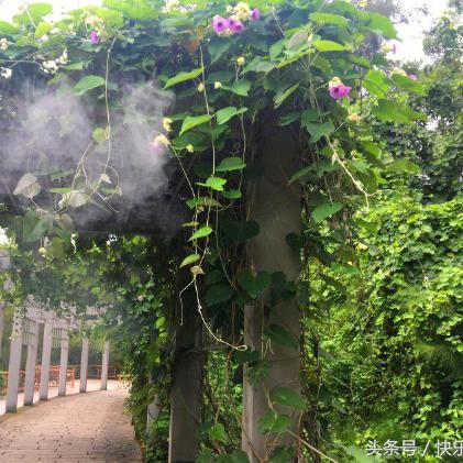 厦门摄影棚的相关长尾关键词有哪些