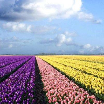 合肥市市区景点有哪些