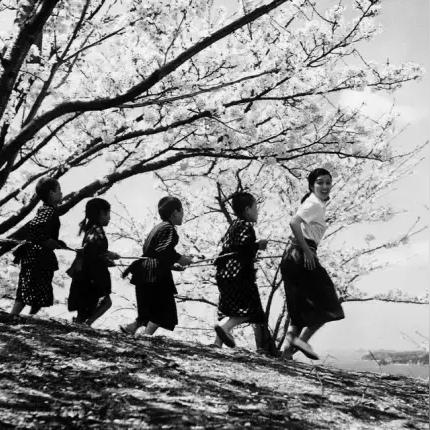 上海头条女作家有哪些