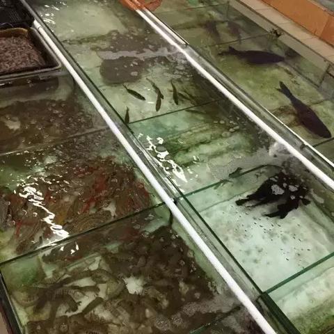 东莞市轮船码头在哪里