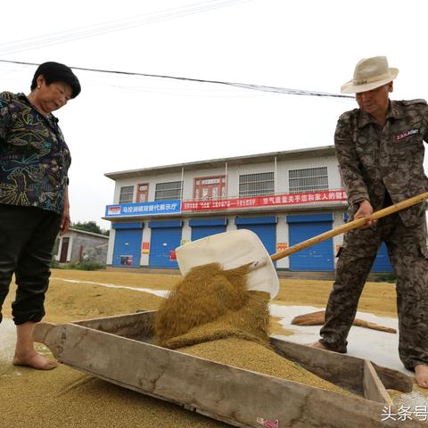 河南化肥招聘的相关长尾关键词有哪些