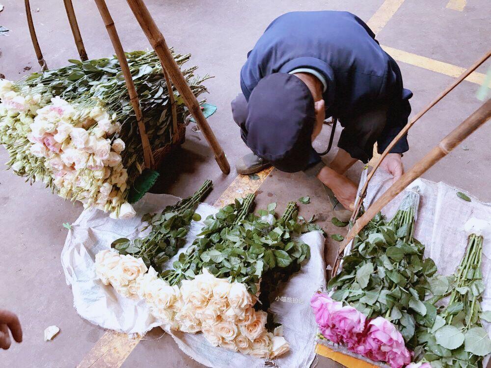 斗南花卉市场盆栽批发,昆明市的哪些公园可以露营过夜?