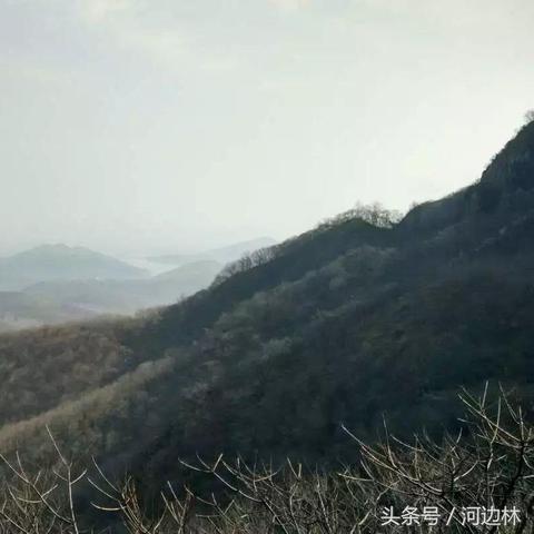 泌阳是河南省哪个市的