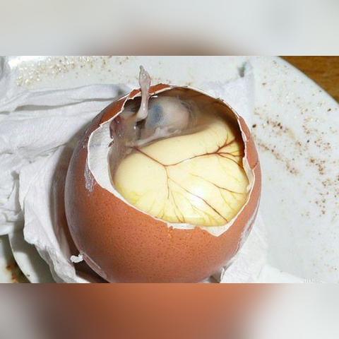 福建的特产有什么？