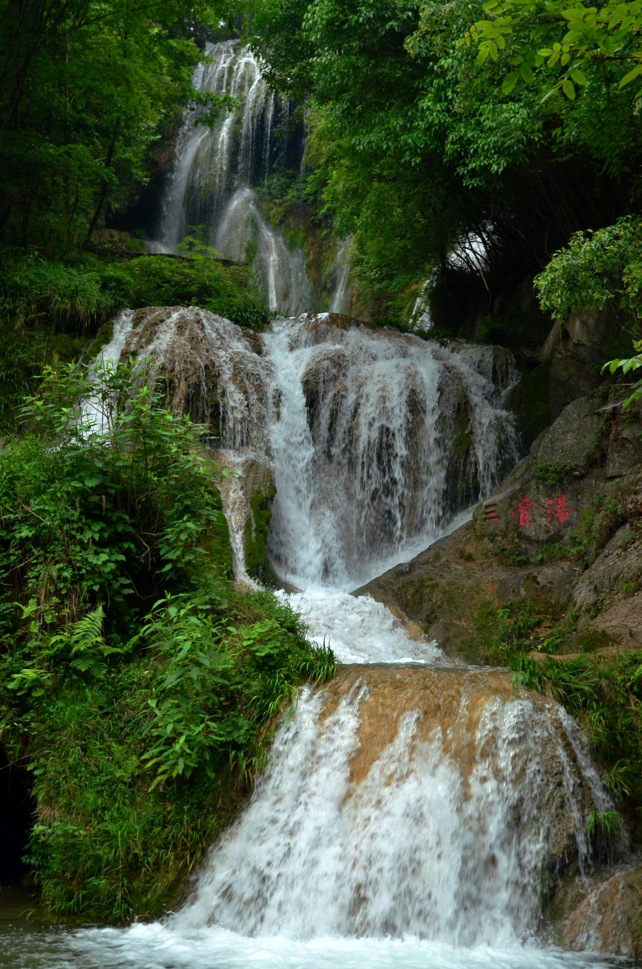 梦境探秘,为何会梦到在水里捉很多鱼? 梦境探秘,为何会梦到在水里捉很多鱼?