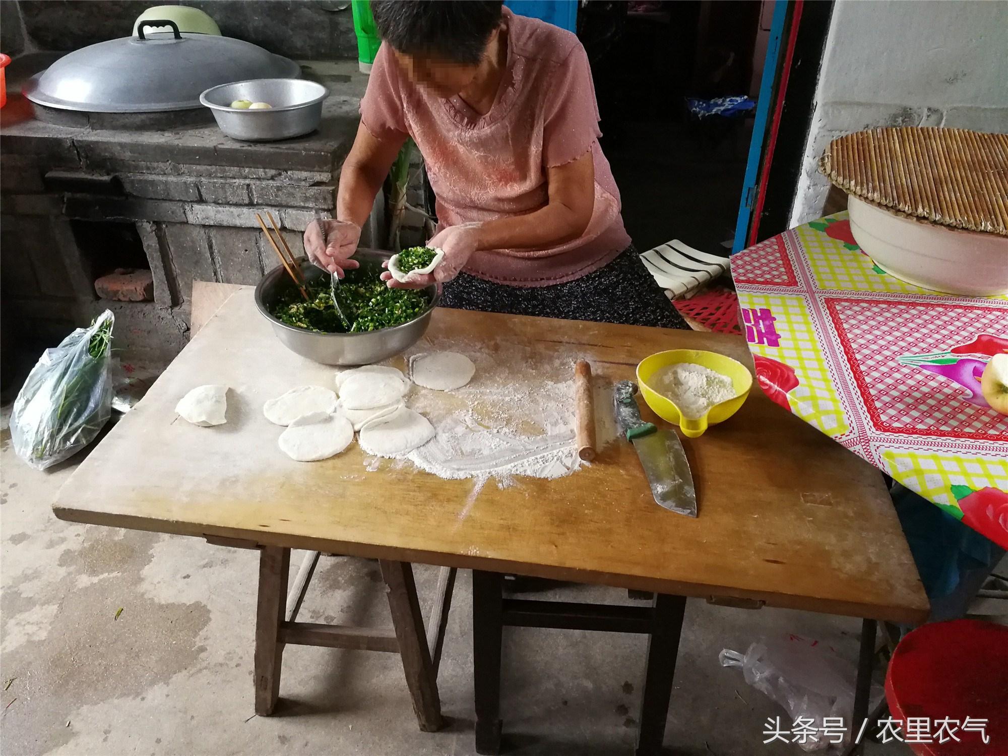 什么草做什么美食（适合给鱼和家禽做饲料的草有哪些）