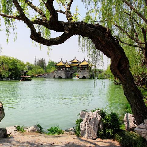 杭州市的东面是哪个区？