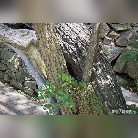 济南市家俱市场相关长尾关键词有哪些