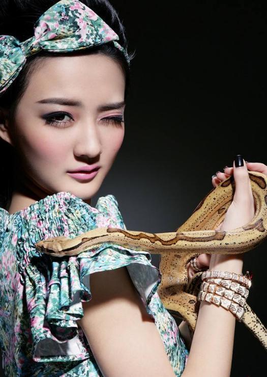 梦幻蛇界之旅,花蟒蛇的飞翔与双蟒之谜 梦幻蛇界之旅,花蟒蛇的飞翔与双蟒之谜