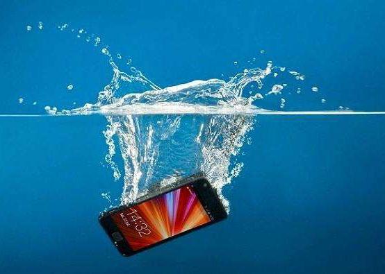 怎么办手机掉水里了（手机掉水里怎么办）