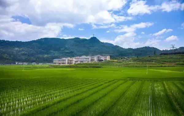 梦境之旅，梦见游泳回家的深层寓意与心理解析