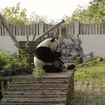 合肥市哪个地点最火