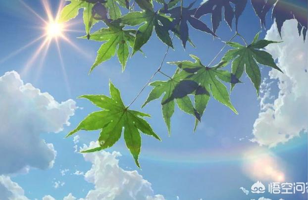 抖音副業(yè)一個人能做嗎抖音極速版怎么做個人地推 運營百科