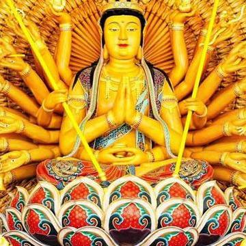 9月份有几个生肖运势(九月份生肖)