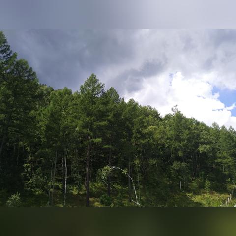 哈尔滨市二环限速是多少