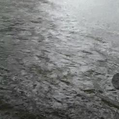 广东东莞市暴雨学校的长尾关键词有哪些