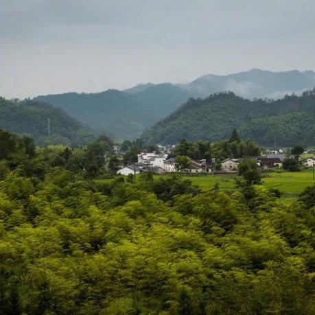 长沙洋湖万亩花田相关长尾关键词有哪些