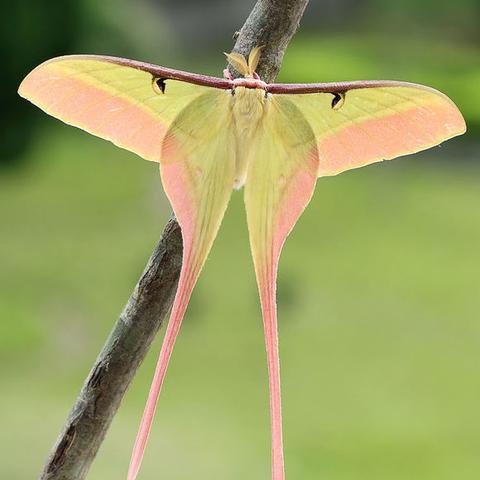 世界奇异事件大全的长尾关键词有哪些