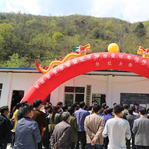 广州市经济合作社是什么