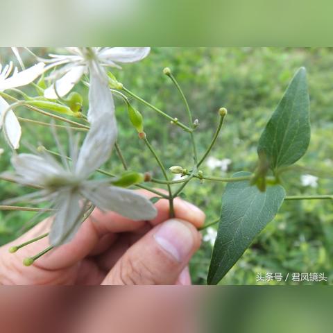 湖南离河南有多远？