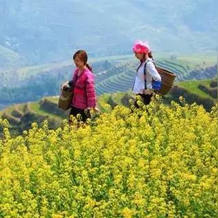 桂林市二手包包回收店在哪里