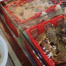 东莞市二手海鲜鱼缸出售的长尾关键词有哪些