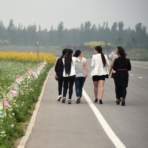 石家庄市的花海是哪里