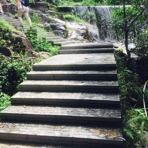 2025.11.20东莞今天空气质量指数怎么样