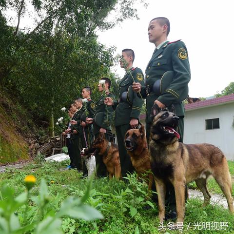 武警深圳市支队在哪个区