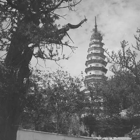 济南市中有什么县