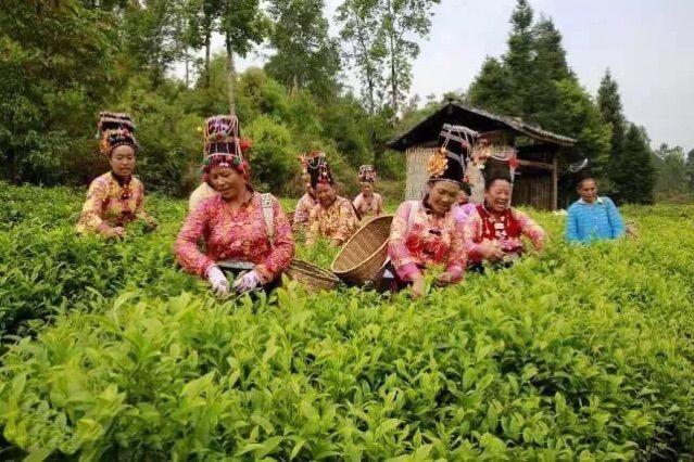 梦之深渊，与家人共捕鱼，却陷鱼咬之痛——解析梦中被鱼追咬的深层含义