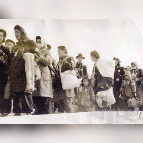 哈尔滨到桃山的票相关长尾关键词有哪些