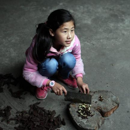 小张骑行桂林视频下载相关长尾关键词有哪些