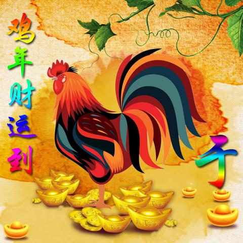 6月6日生肖鸡的运势怎样(属鸡6月出生是什么星座)